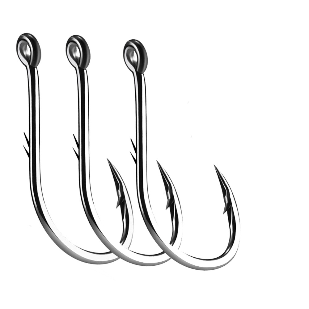 Iseama 서클 잉어 아이 낚시 후크, 사이즈 12  - Fishing Hook Assortment 리뷰 및 가격
